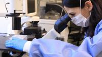 research scientist looking through a microscope